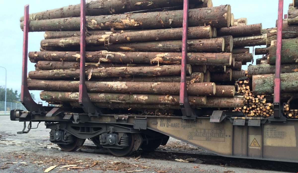 Jernbanevogn lastet med tømmer.